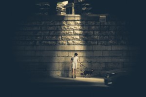 dog being walked by owner